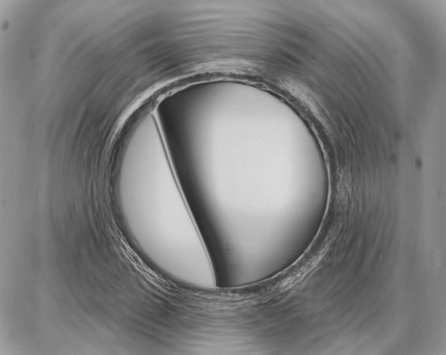 X0000086880923200704160936