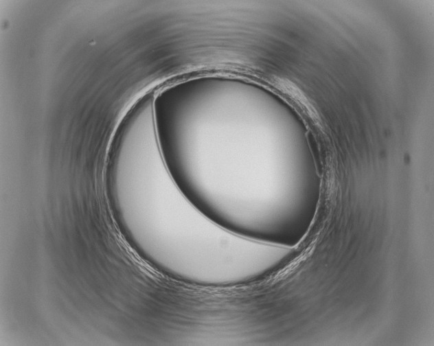 X0000086880924200704160936