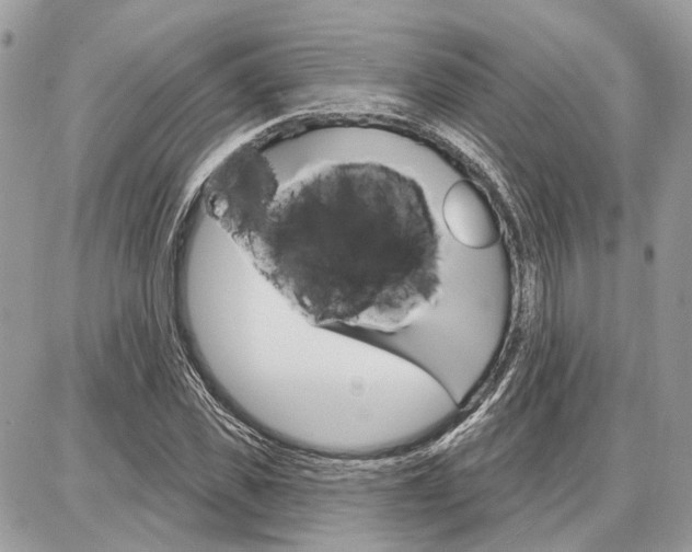 X0000086880925200704160936