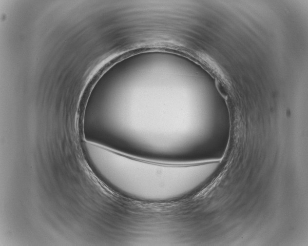 X0000086880932200704160936