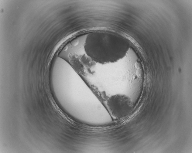 X0000086880933200704160936