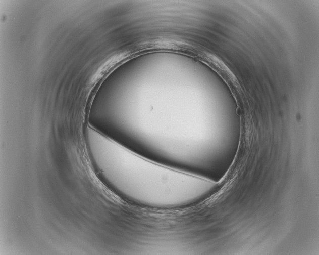 X0000086880938200704160936