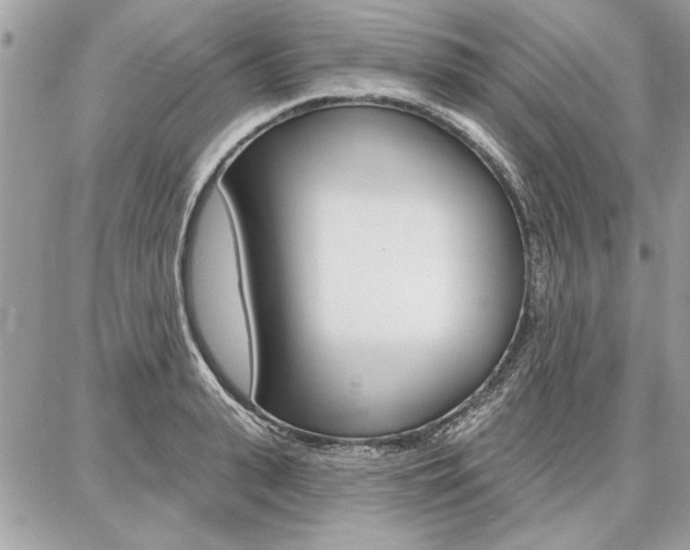 X0000086880943200704160936