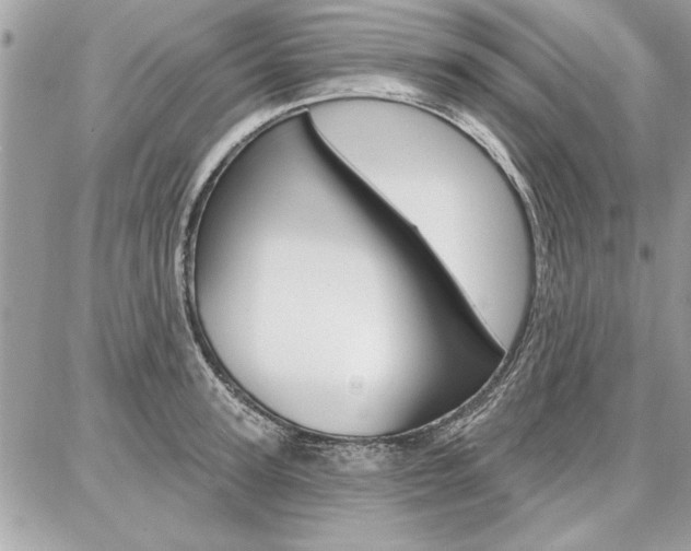 X0000086880947200704160936