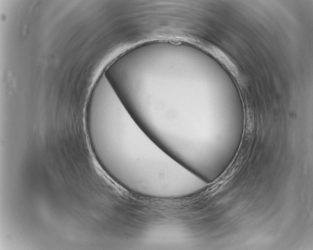 X0000086880958200704160936