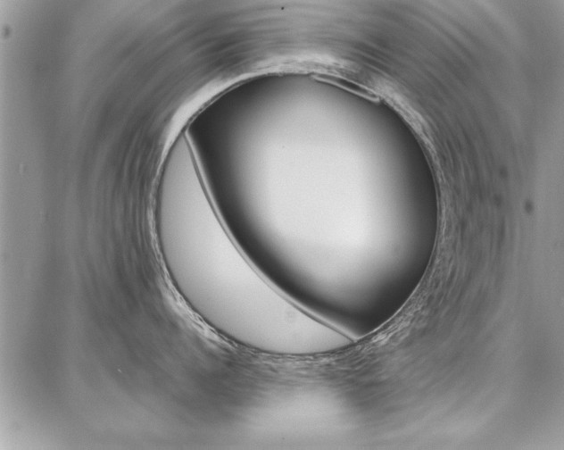 X0000086880960200704160936