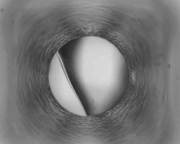 X0000086880963200704160935
