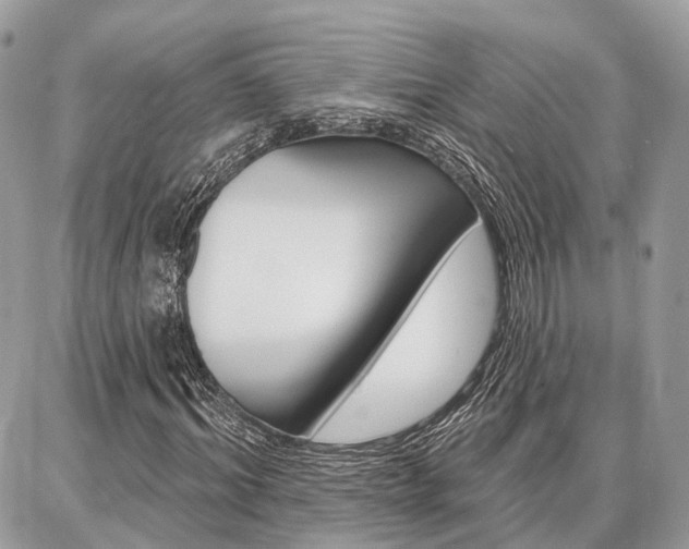 X0000086880964200704160935