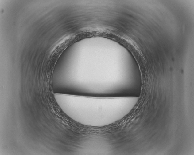X0000086880967200704160935
