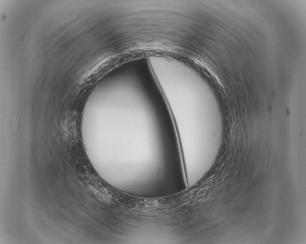 X0000086880968200704160935