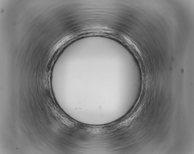 X0000086880970200704160935