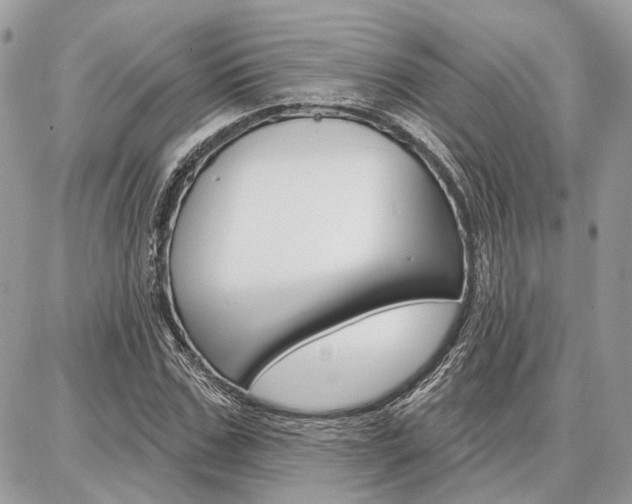 X0000086880971200704160935