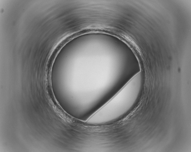 X0000086880976200704160935