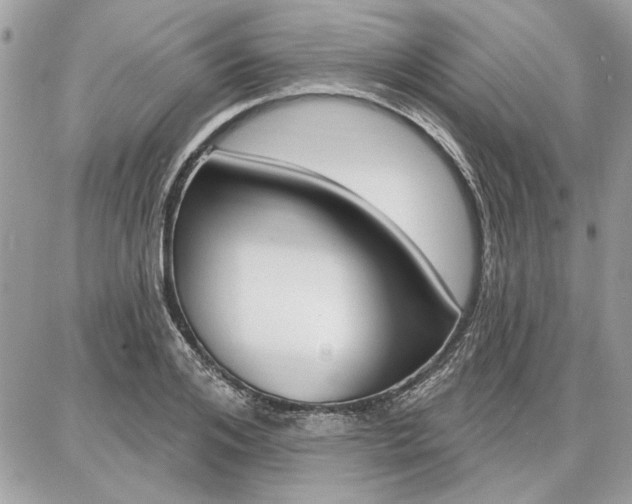 X0000086880984200704160935