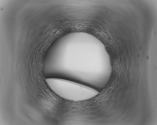 X0000086881009200704160934