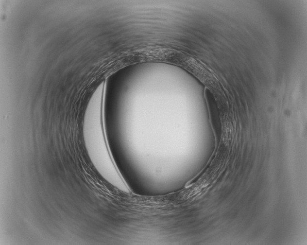 X0000086881010200704160934