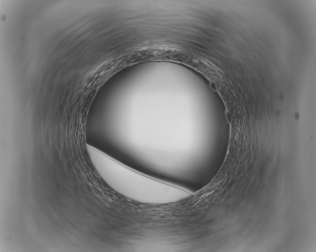 X0000086881014200704160934