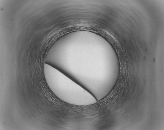 X0000086881015200704160934