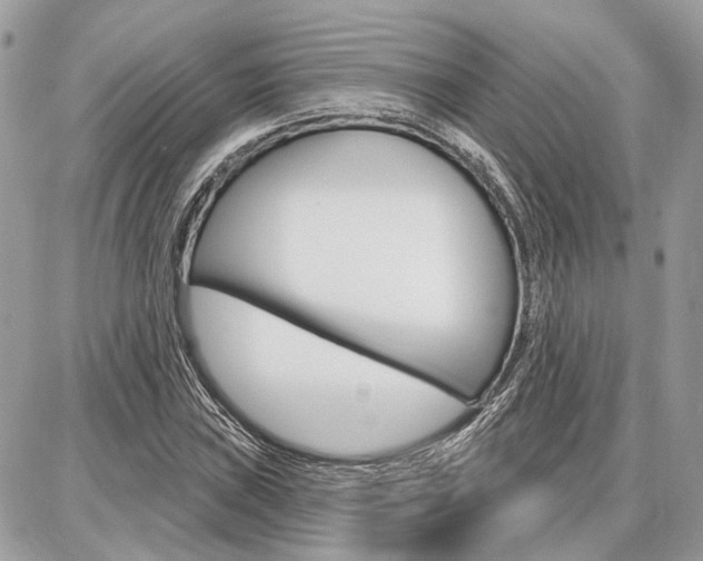 X0000086881019200704160934