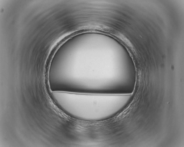 X0000086881020200704160934