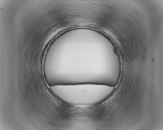 X0000086881023200704160934