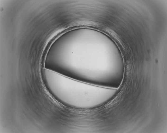 X0000086881024200704160934