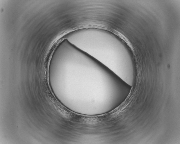 X0000086881027200704160934