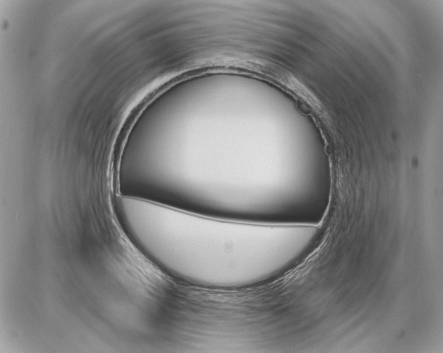 X0000086881028200704160934