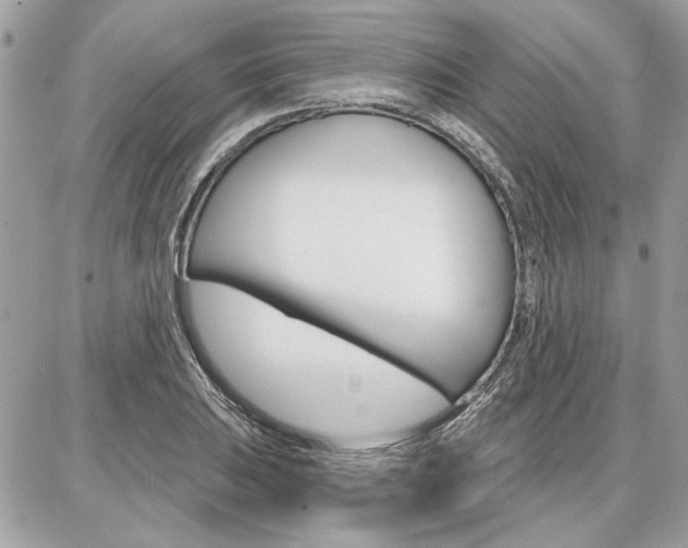 X0000086881031200704160934
