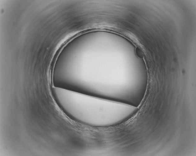 X0000086881032200704160934