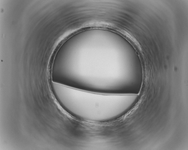 X0000086881037200704160934
