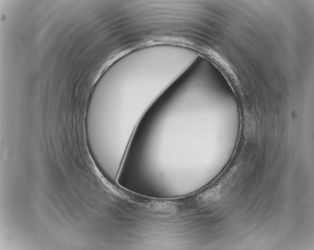 X0000086881041200704160934
