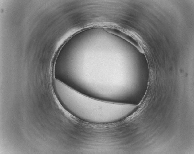 X0000086881046200704160935
