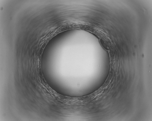 X0000086881061200704160934