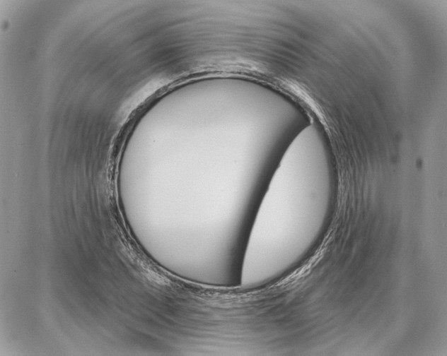 X0000086881071200704160934
