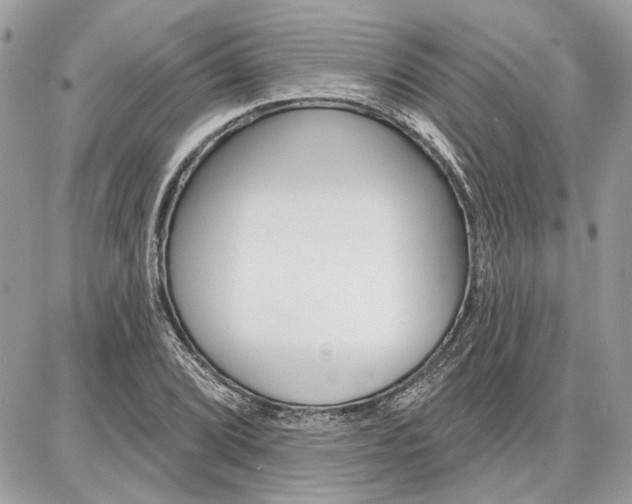 X0000086881072200704160934