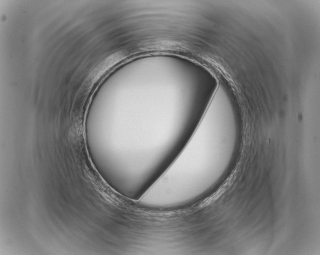 X0000086881073200704160934