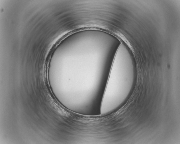 X0000086881076200704160934