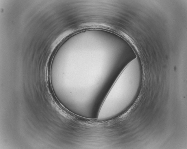 X0000086881082200704160933