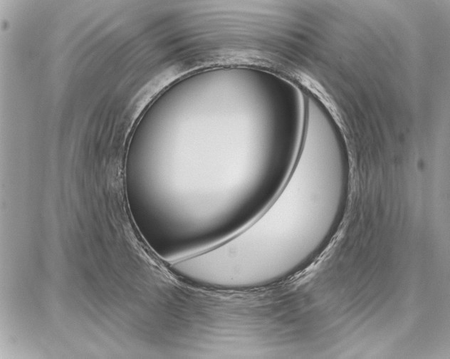 X0000086881089200704160933