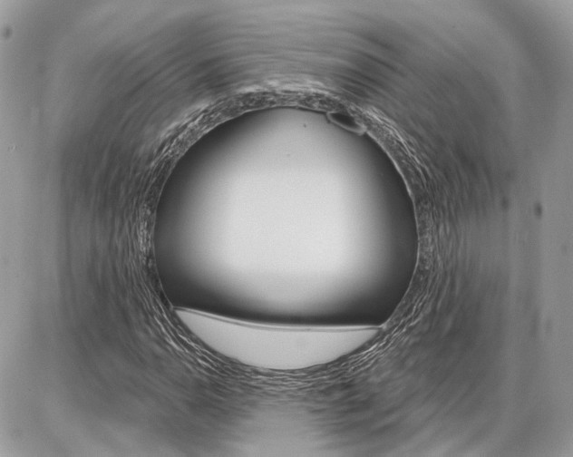 X0000086881110200704160932