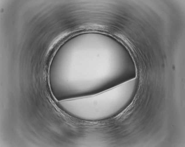 X0000086881115200704160932
