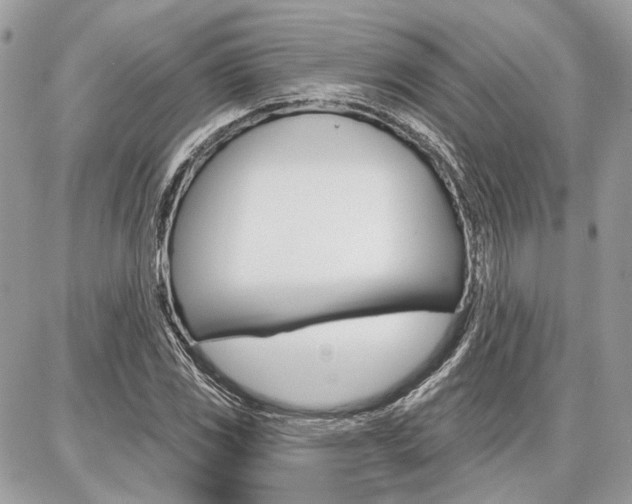 X0000086881117200704160933