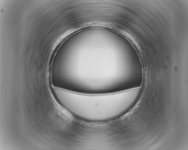 X0000086881133200704160933
