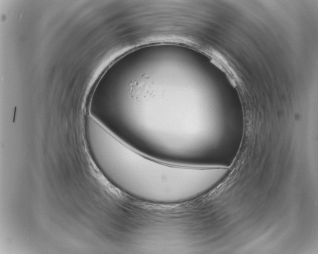 X0000086881140200704160933