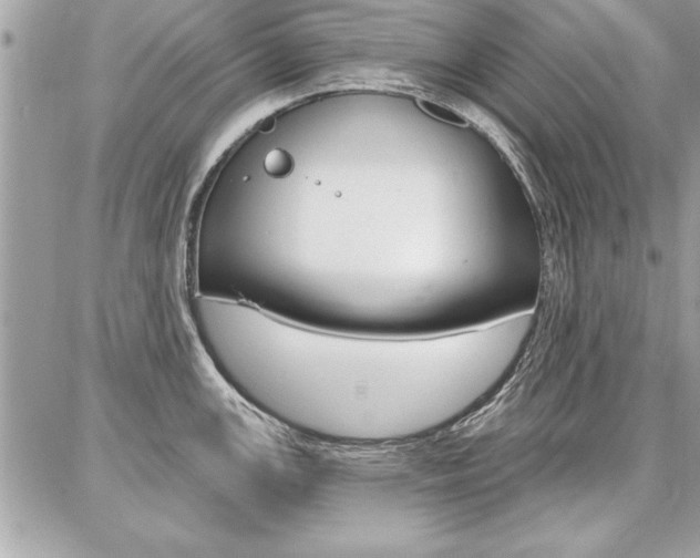 X0000086881147200704160933