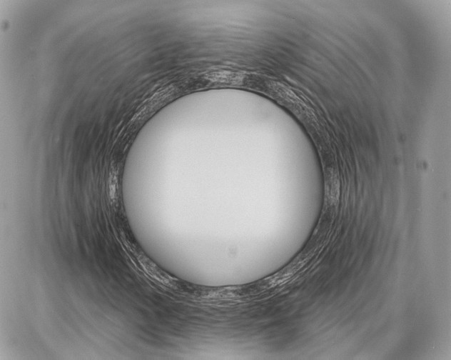 X0000086881154200704160932