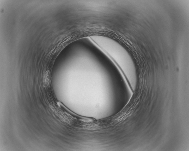 X0000086881156200704160932