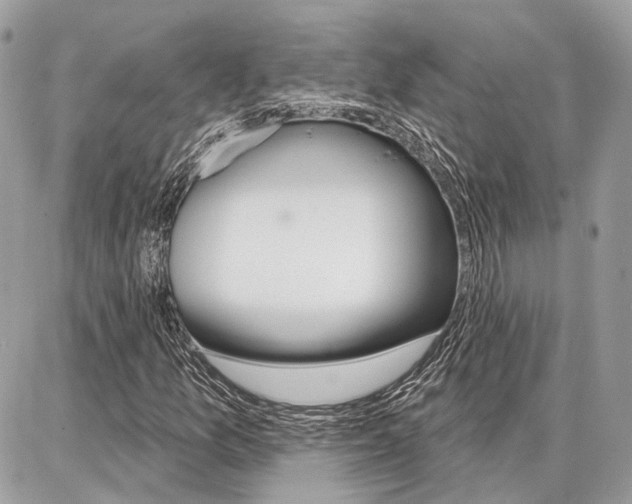 X0000086881157200704160932