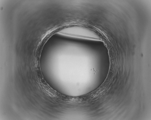 X0000086881160200704160932